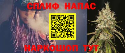 стаф Славгород