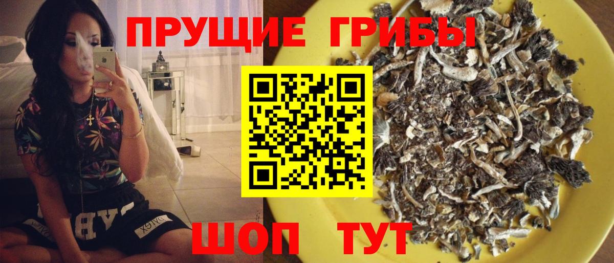 Галлюциногенные грибы ЛСД Большой Камень